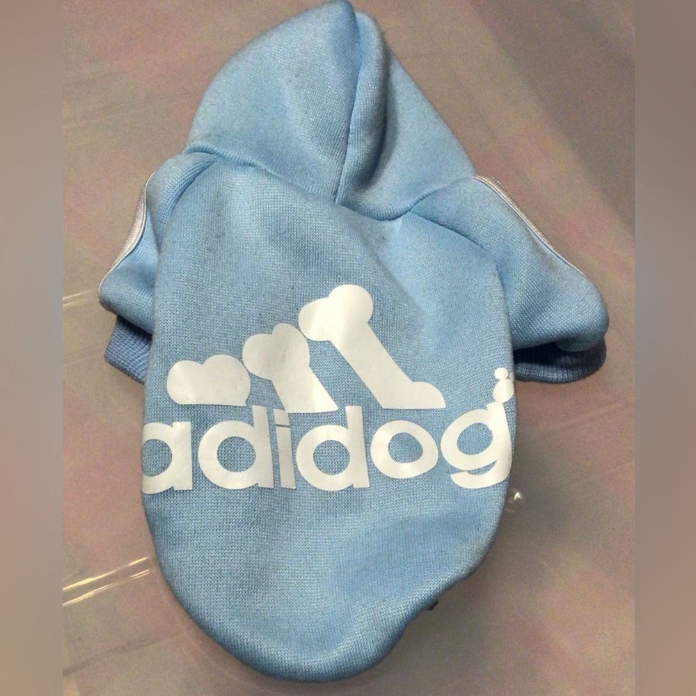 Little doggy sweater.